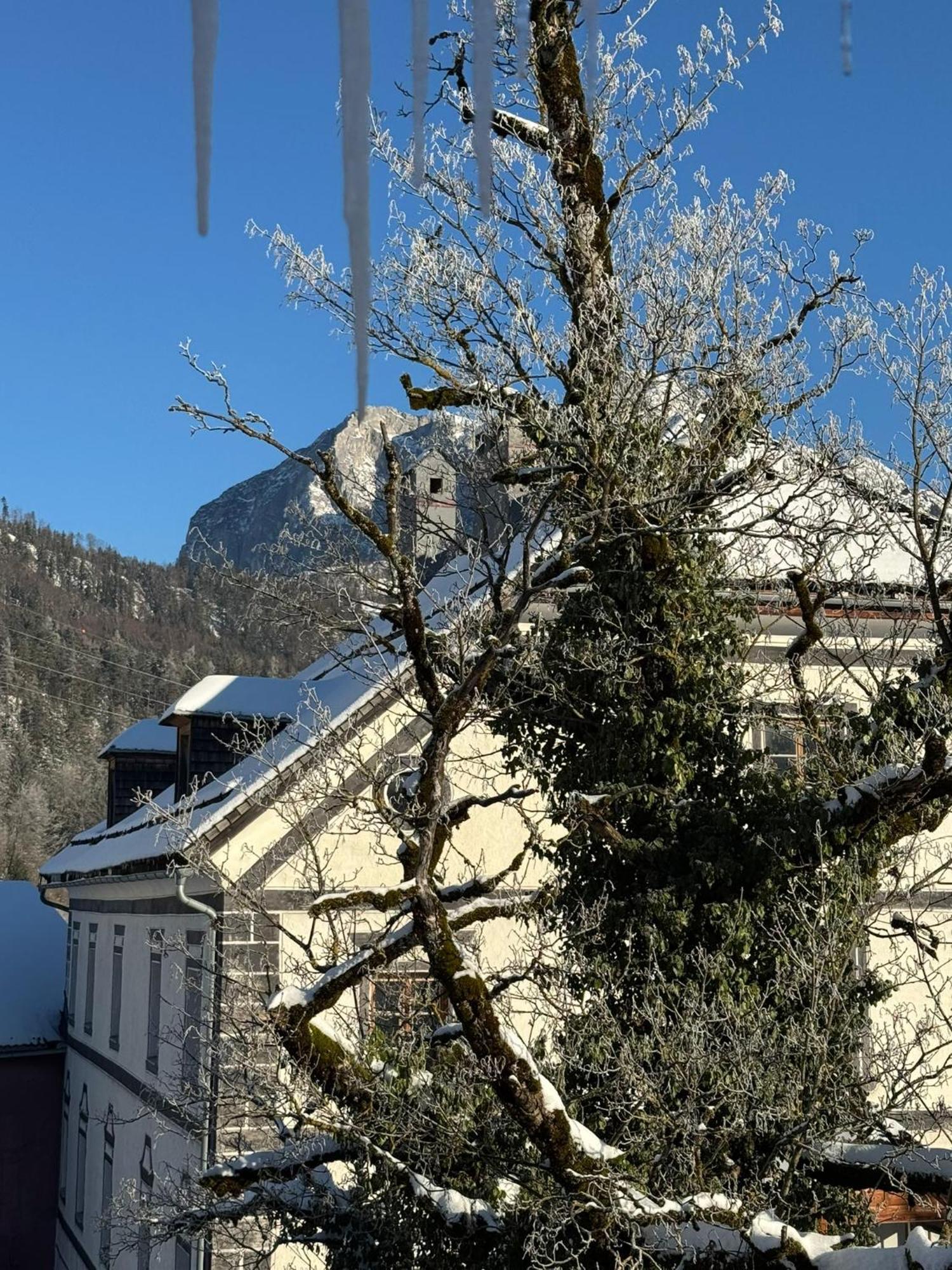 Podenhaus Бад Аусзее Экстерьер фото